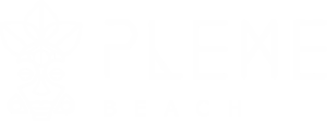 Pleme Beach